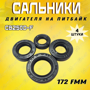 Набор сальников двигателя 172FMM (CB250D-F) (4 штуки)